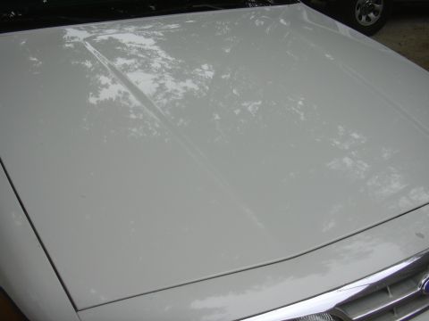 1997 Ford Crown Victoria - Hood of a 1997 Ford Crown Victoria, showing reflections of overhead trees.