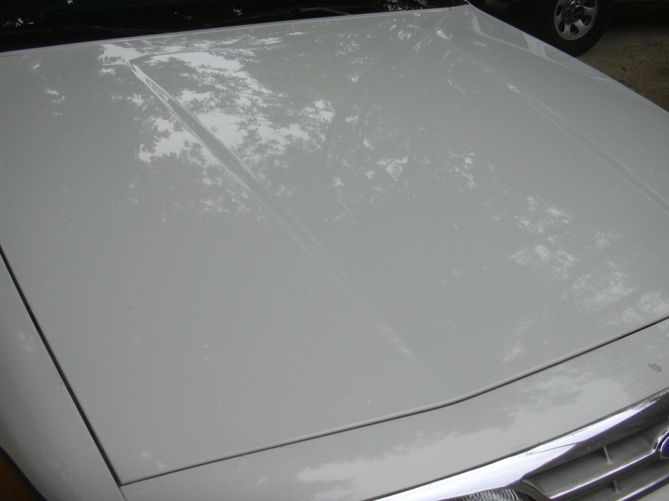 1997 Ford Crown Victoria hood, white paint with reflections of trees