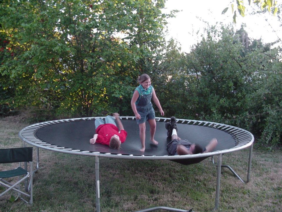 The kids ( including Brandon ) on the trampoline