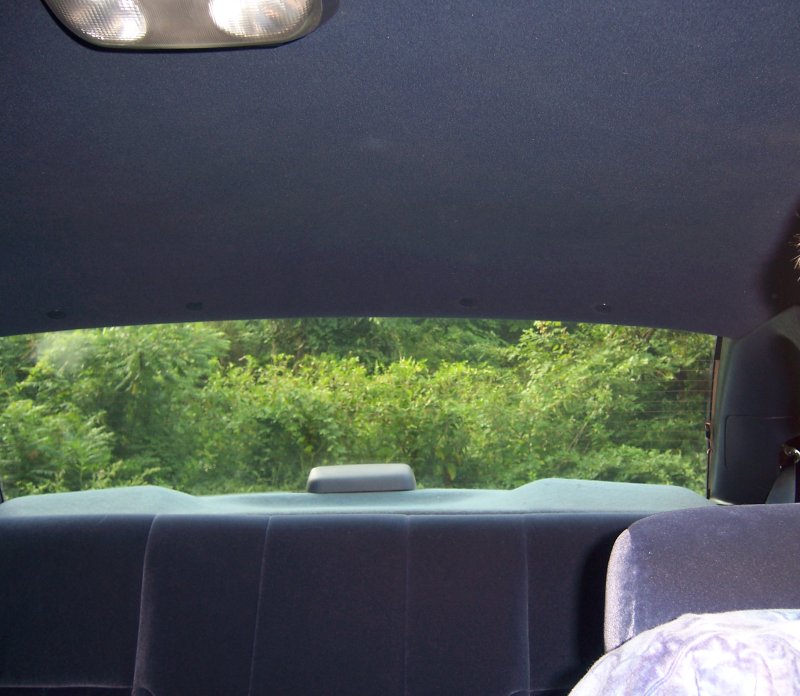 Interior rear view showing dark blue upholstery and a wooded landscape through the rear window