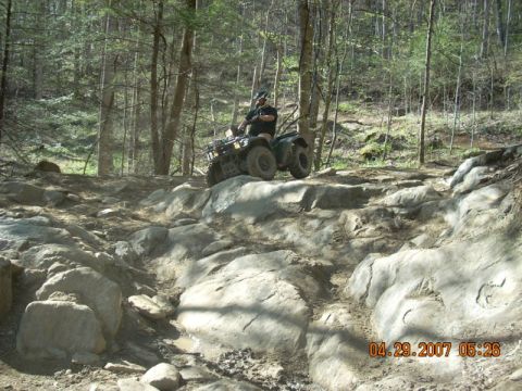 1999 Honda FOURTRAX FOREMAN S photo