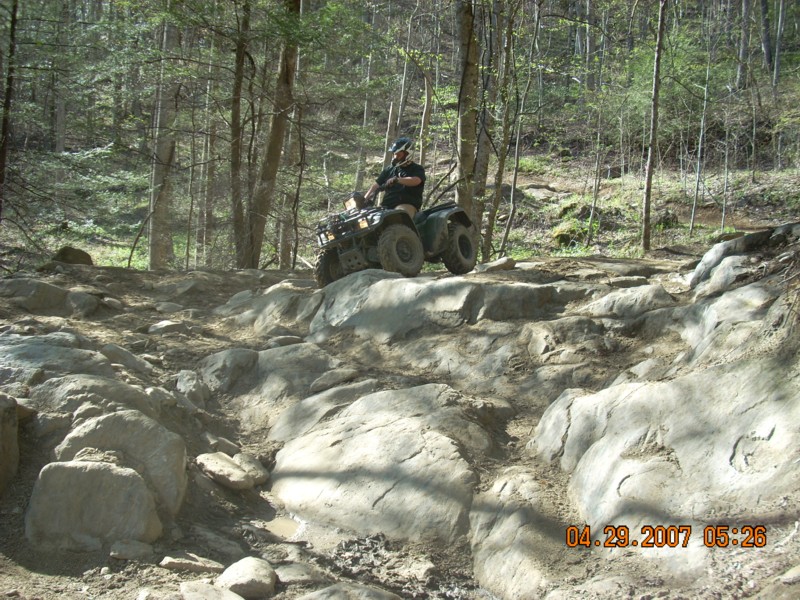 Rider on dark green ATV perched on large rocks along a forest trail