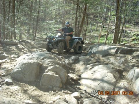 1999 Honda FOURTRAX FOREMAN S photo