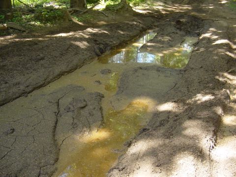 1989 Ford Bronco - Slush pond looking a little thick
