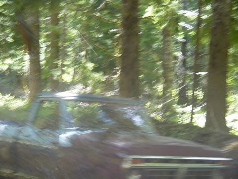 1989 Ford Bronco - This pic is blurry becaue I am running from mud thrown by a truck doing like 150 mph.