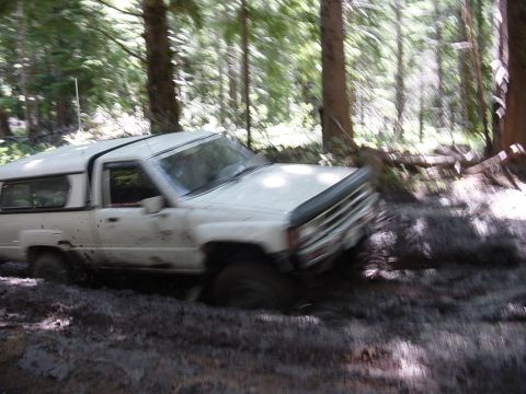 1989 Ford Bronco - Its Bills turn