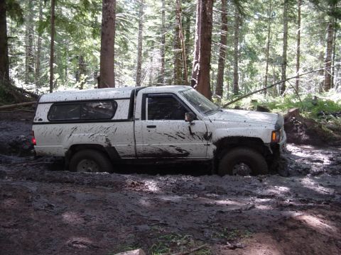 1989 Ford Bronco - Listen to it rev