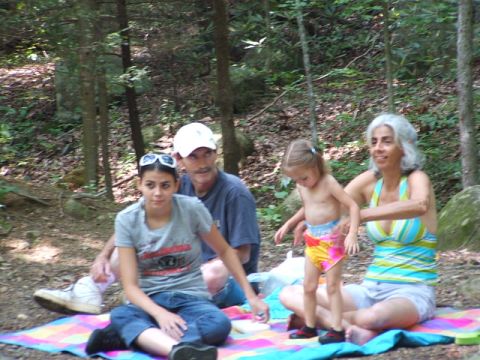 1966 Ford Ranchero - A family enjoys a picnic on a blanket in a wooded area.