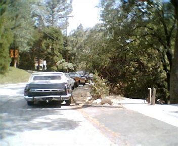 1972 Ford Ranchero - A line of vehicles are seen on a road surrounded by trees and foliage.