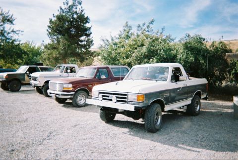 1991 Ford Bronco - A row of Ford trucks and Broncos are parked outdoors on a sunny day.