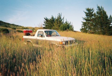 1991 Ford Bronco - Ford Bronco from the mid-to-late 80s sits in a field of tall grass.