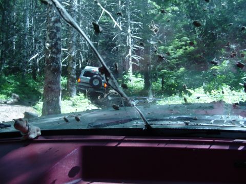 1989 Ford Bronco - Alvie up ahead on the trail