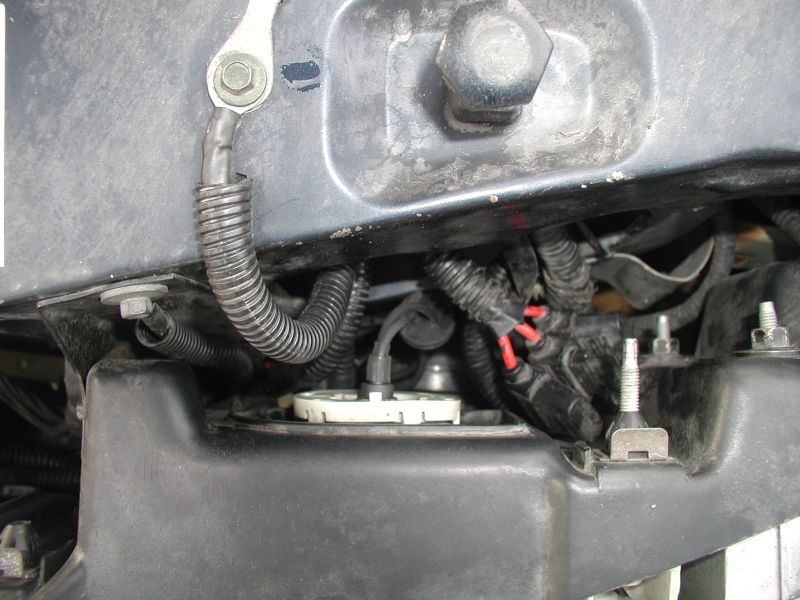Engine bay wiring and fuel pump assembly with corrugated tubing and red-tipped wires