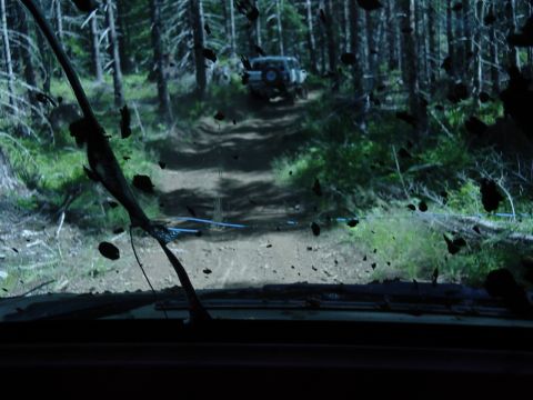 1989 Ford Bronco - Veiw of the trail