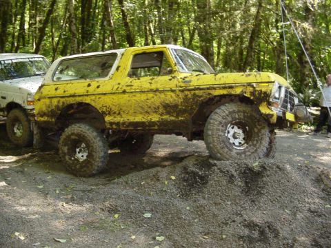 1989 Ford Bronco - Pretty good flex for that big ol truck