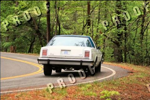 1985 Ford LTD Crown Victoria - White 1980s Ford sedan navigates a curve on a wooded road.