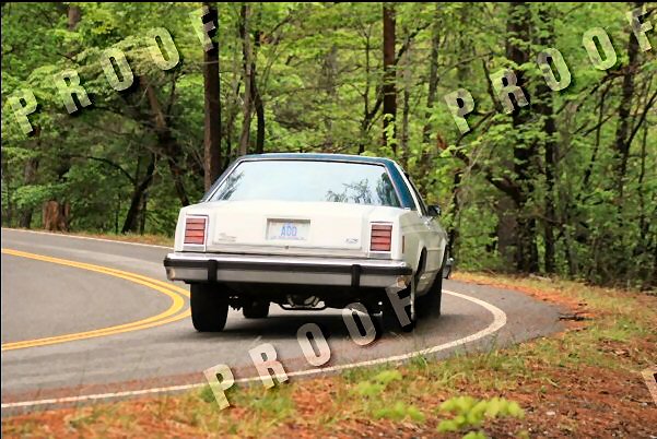 Rear view of a white 1980s Ford sedan with a dark roof driving on a two-lane road through a forest