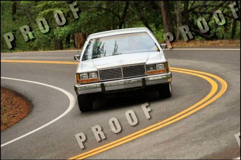 1985 Ford LTD Crown Victoria - A white 1985 Ford Crown Victoria LTD navigates a sharp curve on a tree-lined road.
