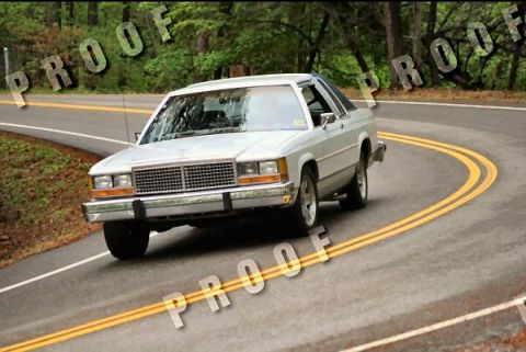 1985 Ford LTD Crown Victoria - White Ford sedan navigates a curve on a tree-lined road.