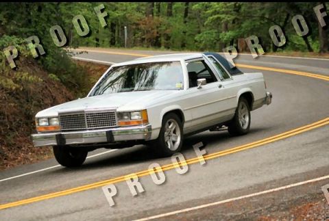 1985 Ford LTD Crown Victoria - A white Ford Crown Victoria navigates a curve on a two-lane road surrounded by greenery.