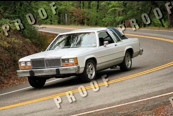 White Ford Crown Victoria driving on a winding road with trees on the side