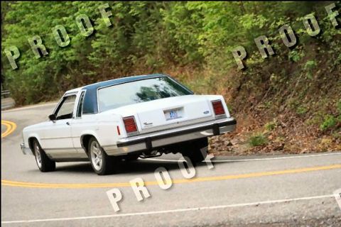 1985 Ford LTD Crown Victoria - A white Ford Crown Victoria with a blue roof navigates a curve on a wooded road.