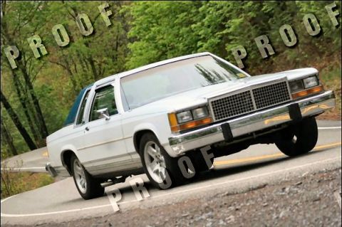 1985 Ford LTD Crown Victoria - A white sedan with a blue vinyl roof navigates a curve on a tree-lined road.