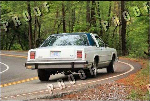 1985 Ford LTD Crown Victoria - A white Ford sedan with a blue vinyl roof navigates a curve on a tree-lined road.