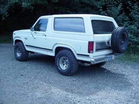 1989 Ford Bronco - Nice looking bronco