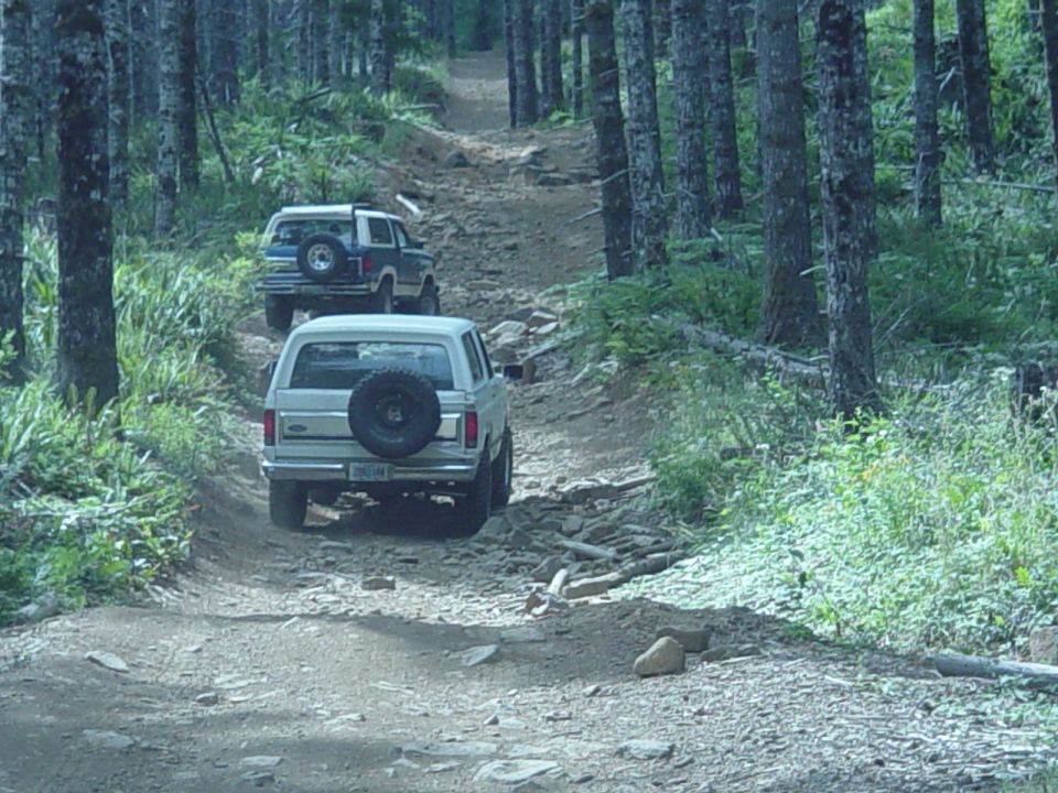 Two SUVs climbing a rutted dirt trail through a dense pine forest, rear views