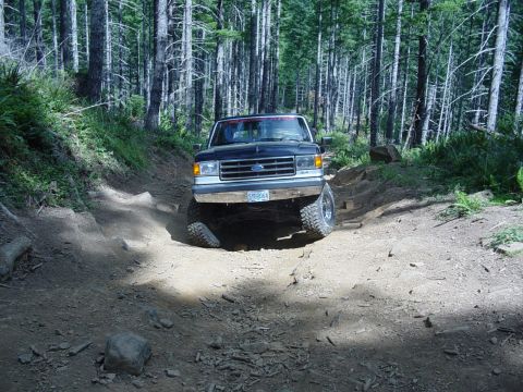 1989 Ford Bronco - Grrrr