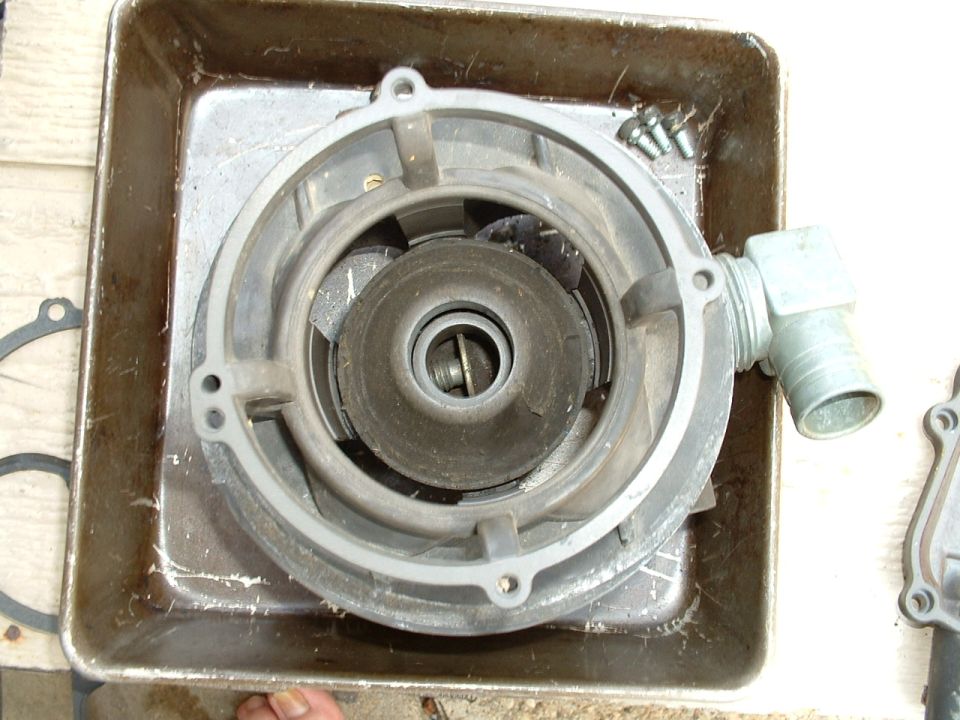 Water pump impeller housing with visible impeller and hose fitting, sitting in a metal tray