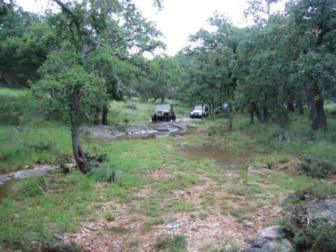 2001 Jeep Wrangler - Multiple off-road vehicles navigate a wet, wooded path with several puddles and streams.