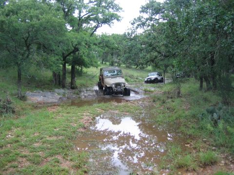 2001 Jeep Wrangler - Multiple Jeep Wranglers navigate a muddy trail surrounded by trees and vegetation.