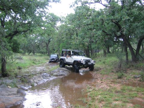 2001 Jeep Wrangler - Two Jeep Wranglers navigate a wet, wooded path, kicking up mud.
