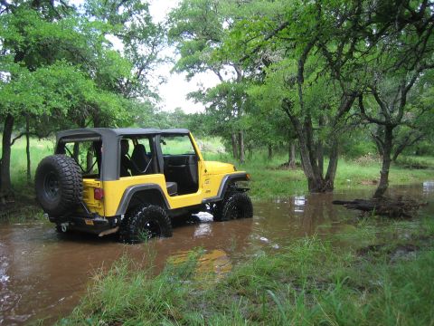 2001 Jeep Wrangler - Yellow 2001 Jeep Wrangler navigates through water and grass in a wooded off-road setting.