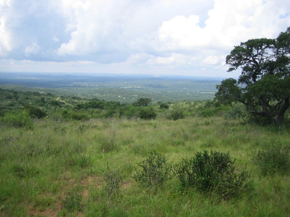 Grassy hillside overlooking a vast, green valley under a cloudy sky. A large tree is on the right