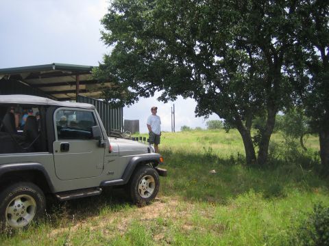 2001 Jeep Wrangler - A 2001 Jeep Wrangler is parked outdoors near trees and a man stands in the background.