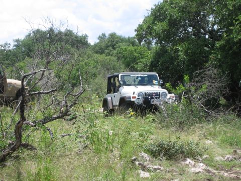 2001 Jeep Wrangler - Two Jeeps are parked off-road in a wooded area with dry brush in the foreground.