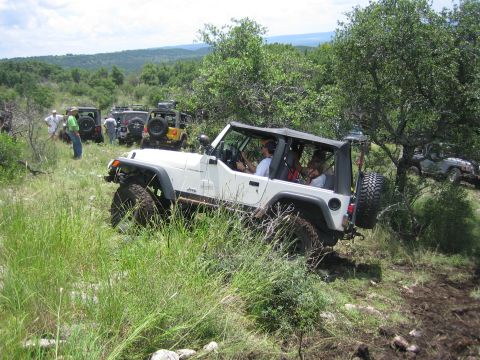 2001 Jeep Wrangler - A group of Jeep Wranglers navigate a grassy, off-road trail under a partly cloudy sky.