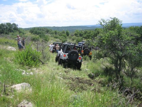 2001 Jeep Wrangler - A group of Jeep Wranglers navigates a , grassy trail under a partly cloudy sky.