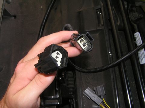 2000 Ford Excursion - Close-up of two black wiring harness connectors, each with white inserts, held by a hand.