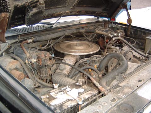 1986 Ford Bronco - The engine compartment of a vehicle, filled with mechanical parts and wiring.