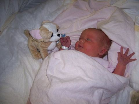 1966 Ford Galaxie - A baby lies in bed with a stuffed dog, a hospital bracelet on its wrist.