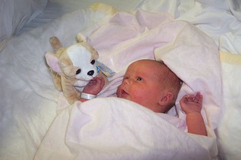 1966 Ford Galaxie - A newborn baby lies in a blanket with a stuffed chihuahua toy nearby.