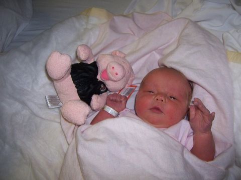 1966 Ford Galaxie - A baby rests with a stuffed pig, wearing a hospital identification band.