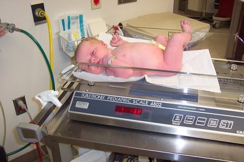 1966 Ford Galaxie - A baby is weighed on a digital scale in a hospital room.