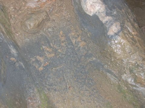 1992 Ford Mustang - The image shows a muddy ground with rocks and debris, appearing wet and dark, with no discernible vehicle present.