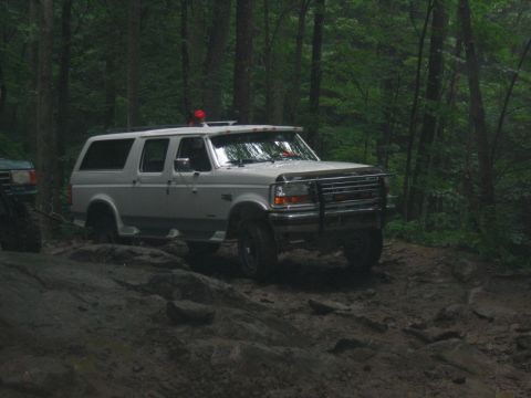 1992 Ford Mustang - This Ford Bronco is navigating a challenging off-road path through a dense forest.