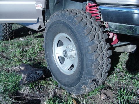 1989 Ford Bronco - Annes new shoes